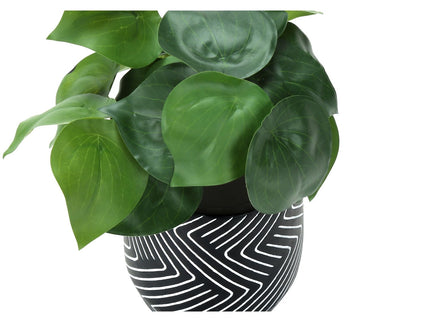 Artificial Alocasia Plant (Set of 2)