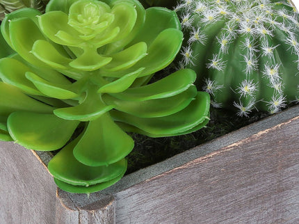 Artificial Succulent, Table Decor (Set of 2) - Green / Dark Gray