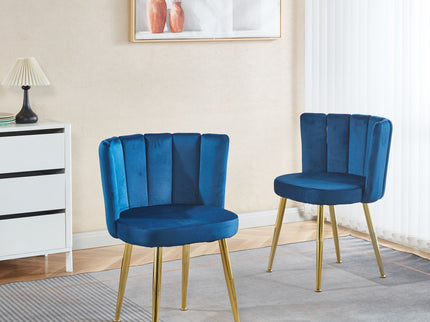 Ergonomic Dining Chair (Set of 2)