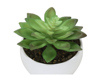 Artificial Succulent Plants (Set of 3)