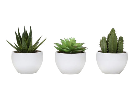 Artificial Succulent Plants (Set of 3)