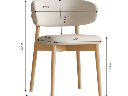 Mid-Century Modern Dining Chair (Set of 2)