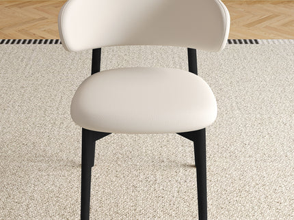 Mid-Century Modern Dining Chair (Set of 2)