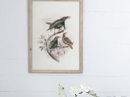Bird Framed Print (Set of 2) - Multicolor