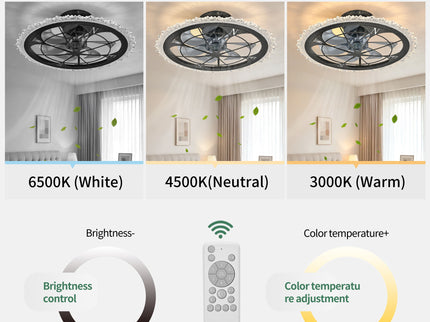 Caged Ceiling Fan & Remote Controlled Dimmable LED Lights, Flush Mount Fan, Low Profile Design - Antique Black
