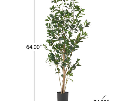 Artificial Laurel Tree