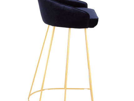 Canary - Contemporary Counter Stool (Set of 2)