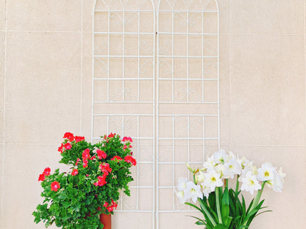 Metal Garden Rustproof Trellis For Climbing Plants Outdoor Flower Support