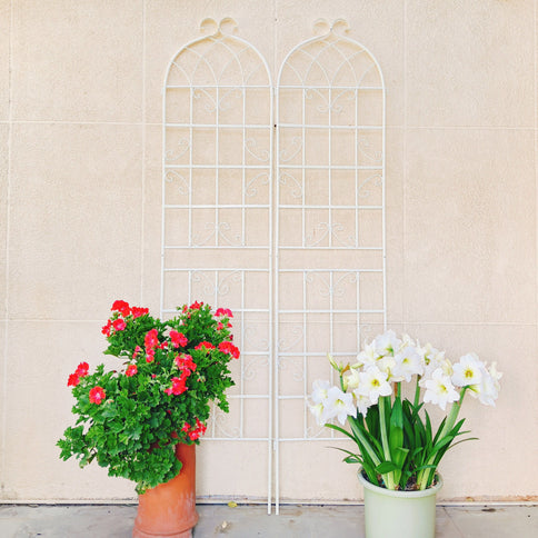 Metal Garden Rustproof Trellis For Climbing Plants Outdoor Flower Support