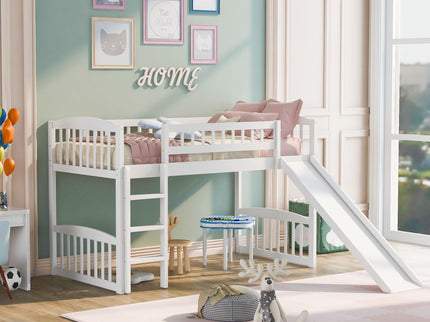 Loft Bed With Slide And Ladder