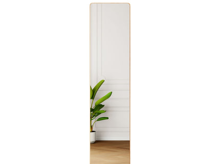 3 In 1 Multifunctional Full Length Clothing Mirror