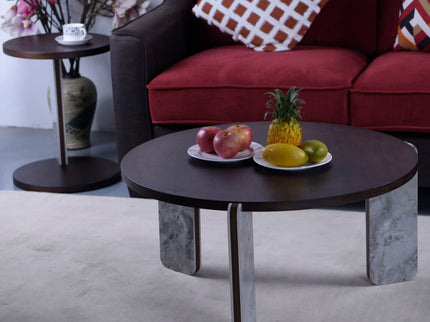 Coffee Table Set With Center Table & Side Table