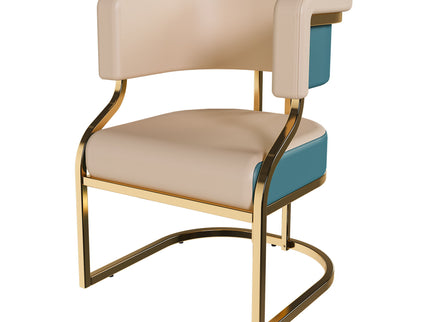 Dining Chairs Ergonomic Curved Backres (Set of 2) - Blue / Neutral