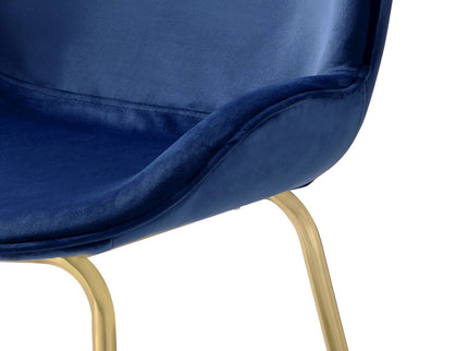 Chuchip - Side Chair (Set of 2) - Blue / Gold