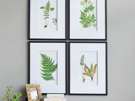 Botanical And Fern Wall Art, Wall Decor For Living Room Dining Room Entryway (Set of 4) - White / Black