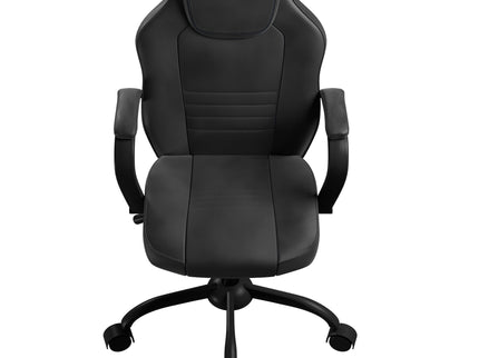 Gaming And Office Chair With Padded Arms, Adjustable Height