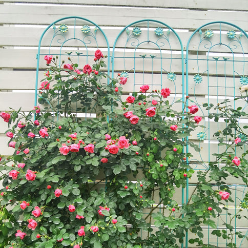Metal Garden Trellis Rustproof Trellis For Climbing Plant Outdoor Flower Support