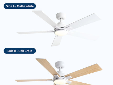Reversible Motor Integrated LED Dimmable Ceiling Fan With Light