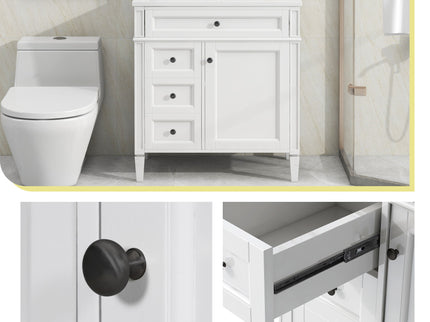 Bathroom Vanity With Top Sink, Storage Cabinet With 2 Drawers, Tip Out Drawer