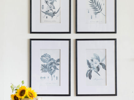 Botanical Wall Art Prints, Home Decor For Living Room Dining Room, Bedroom, Hallway (Set of 4) - White / Black