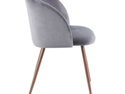 Fran - Contemporary Dining Chair (Set of 2)