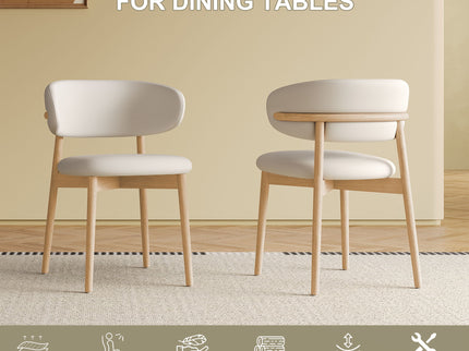 Mid-Century Modern Dining Chair (Set of 2)