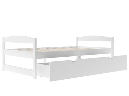 Platform Bed With 2 Drawers