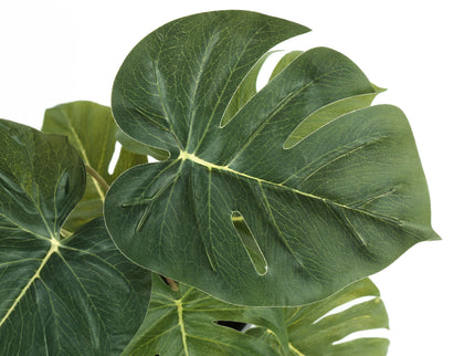 13" Tall, Artificial Plant, Monstera Calthea, Indoor, Faux, Fake, Table, Greenery, Potted, Decorative (Set of 2) - Green / Black
