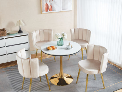 Ergonomic Dining Chair (Set of 2)