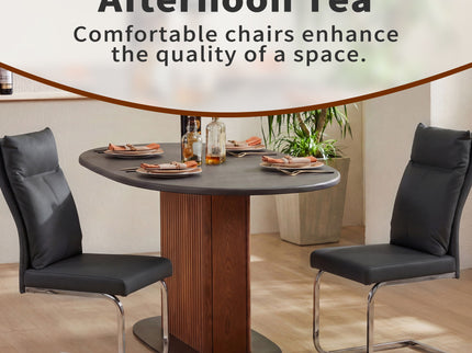 Modern Dining Chair SetWith Soft Cushion Backrest (2 Pieces)