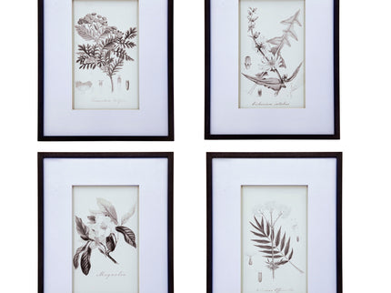 Botanical Wall Art Prints, Home Decor For Living Room Dining Room, Bedroom, Hallway (Set of 4) - White / Black