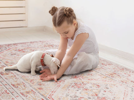 Maval - Trendy Washable Area Rug