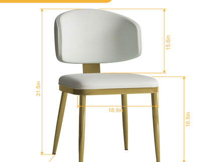 Modern Dining Chairs For Kitchen (Set of 2)