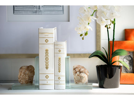 Book Boxes (Set of 2) - White / Gold