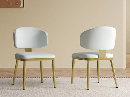 Modern Dining Chairs For Kitchen (Set of 2)