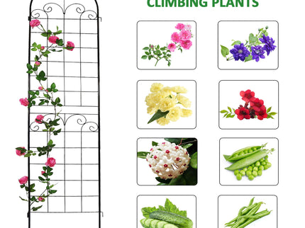 Metal Garden Trellis For Climbing Plants Outdoor Rustproof Plant Support Rose Trellis Netting Trellis