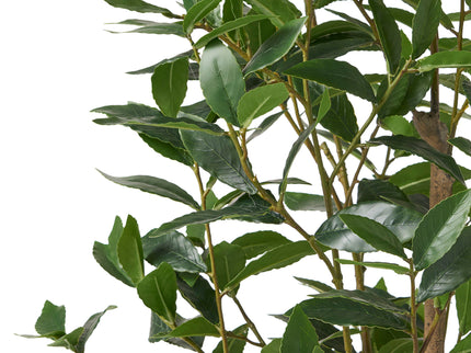 Artificial Laurel Tree