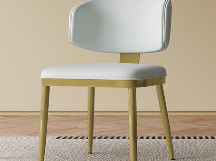 Modern Dining Chairs For Kitchen (Set of 2)