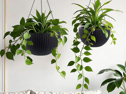 Self Watering Hanging Planter