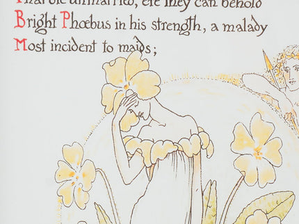 Wall Arts (Set of 2) - Multicolor