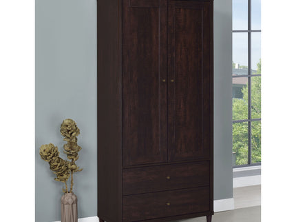 Nestor - 2 Drawer Tall Accent Cabinet With 2 Doors - Rustic
