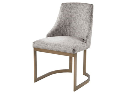 Contemporary Modern Accent Dining Chairs (Set of 2)