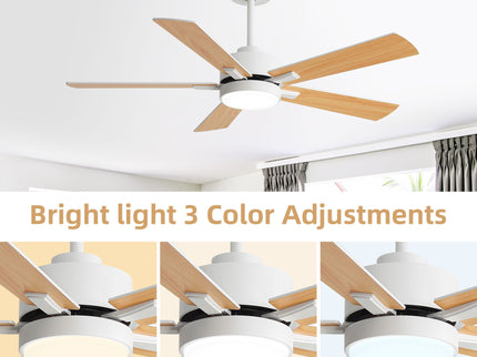 Reversible DC Motor Ceiling Fan With Dimmable LED Light For Living Room