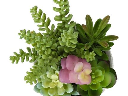 Artificial Succulent, Table Decor (Set of 2) - Green / Gray - Plastic