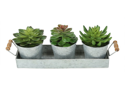 Artificial Succulent, Table Decor (Set of 3) - Green
