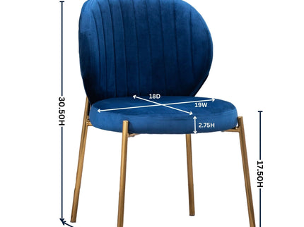 Amoa - Contemporary Velvet Upholstery Dining Chair - Blue