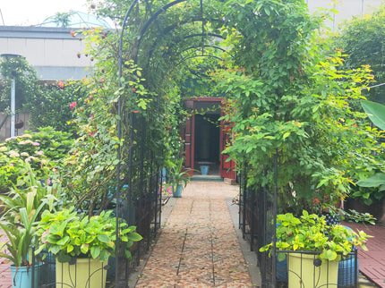Metal Garden Arch With Two Plant Stands Wide High Climbing Plants Support Rose Arch Outdoor - Black