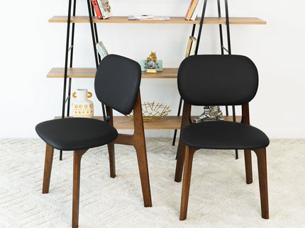 Kelsey - Stylish Dining Chair (Set of 2)