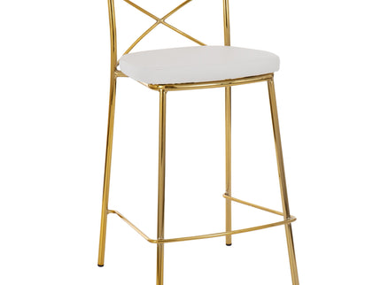 Modern Charlotte - Contemporary Fixed Height Counter Stool (Set of 2)