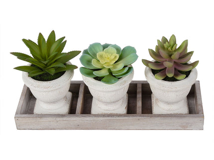 Artificial Succulent, Table Decor (Set of 3) - Green / Beige
